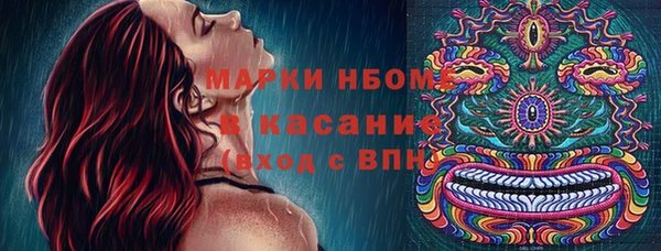 хмурый Алексин