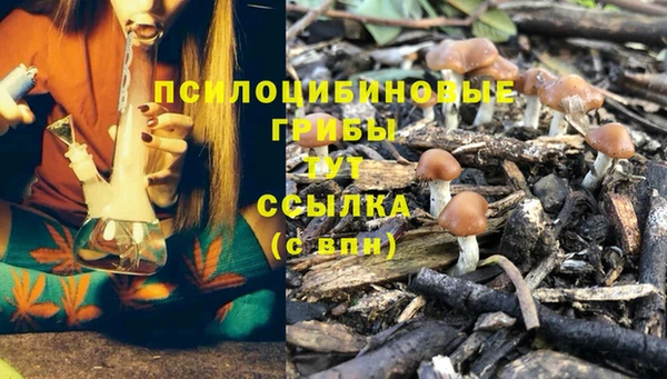 хмурый Алексин