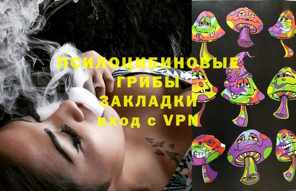 хмурый Алексин