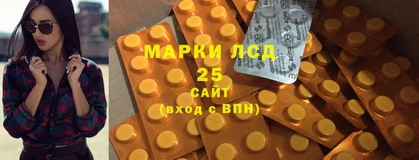 хмурый Алексин