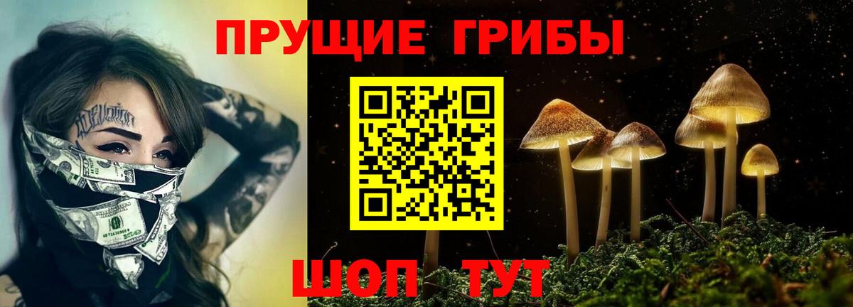 Псилоцибиновые грибы Psilocybine cubensis  Вход с VPN  Ярцево 