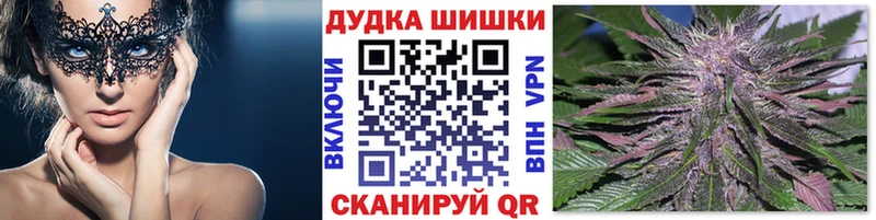 mega ТОР Ярцево Конопля ГИДРОПОН